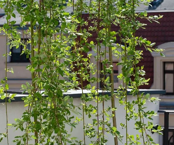 Apartment Eswiety10 Poznan